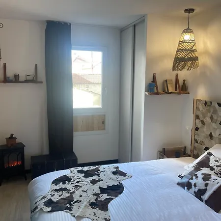 Premium, Wifi, Chaleureux Apartment Lourdes