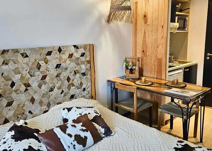 Premium, Wifi, Chaleureux Apartment Lourdes