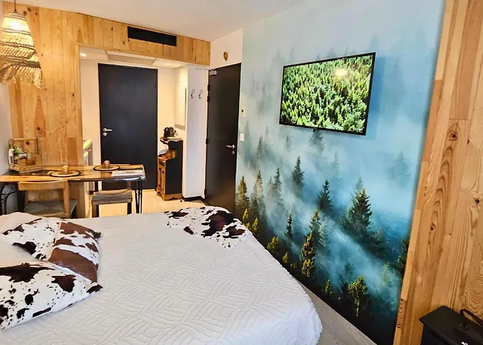 Apartment Premium, Wifi, Chaleureux