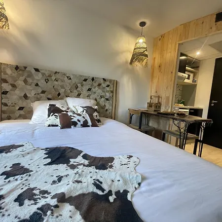 Premium, Wifi, Chaleureux Apartment *